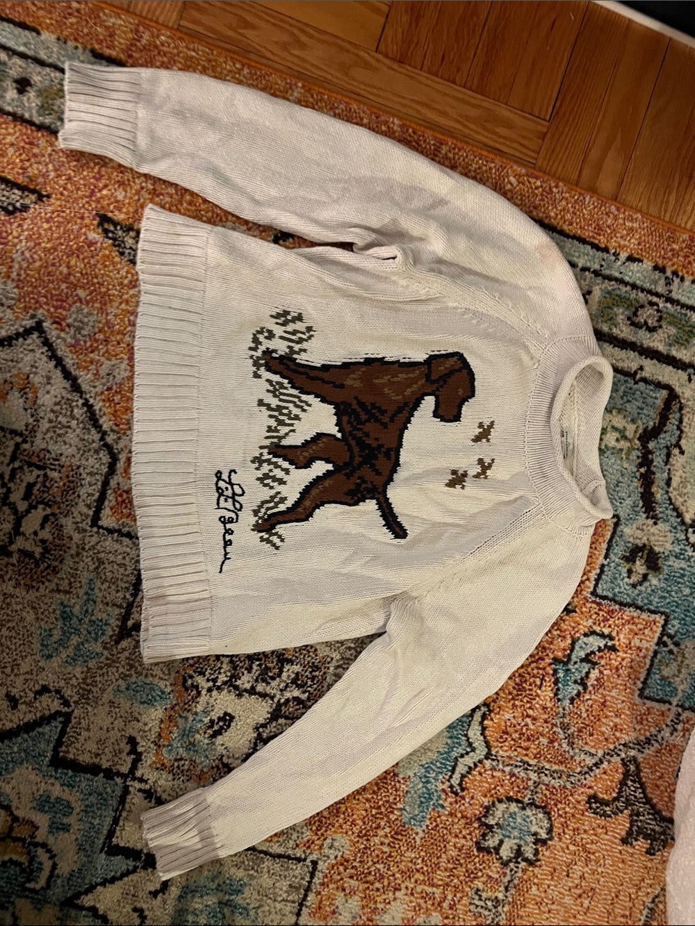 Woman’s LL Bean Dog Sweater